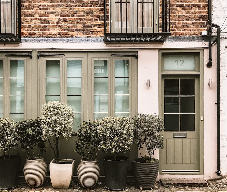 Bioactive provides pest control services to commercial and residential properties in Southwark London