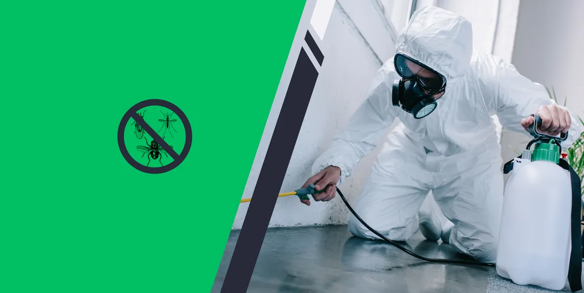 How Often Do You Need Pest Control in London