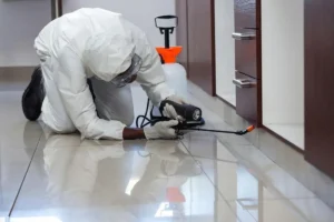 Does Home Insurance Cover Pest Control in the UK? Know the Details
