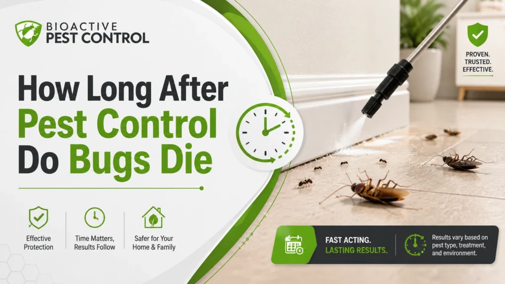 how long after pest control do bugs die