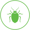 Bed bug removal and prevention in London