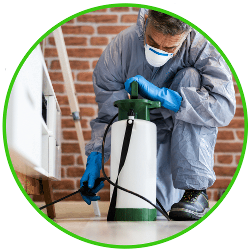 landlord pest control solutions. Eco-Friendly pest control services for businesses and commercial properties in London