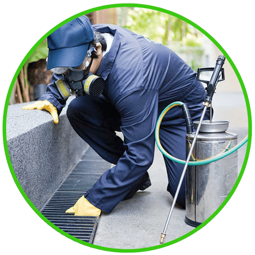 BioActive Pest Control provide routine pest prevention, property care and maintenance across all London Boroughs