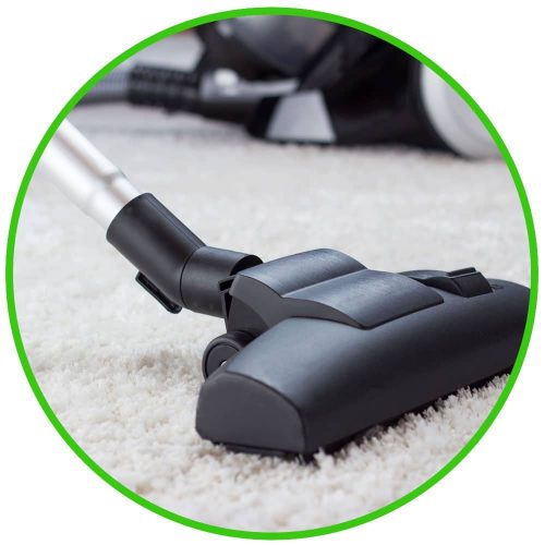 vacuum cleaning prevents moths and other insects from establishing themselves in your home.